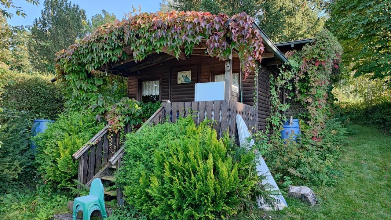 Cafe Pension Sonnenkanzel Staatsbad Brückenau Εξωτερικό φωτογραφία